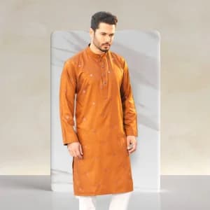Luxury Panjabi